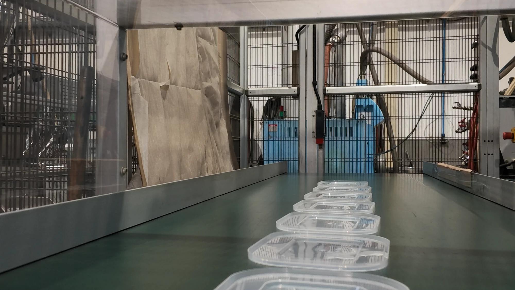 Tampas transparentes, acabadas de injetar, no tapete de saída da máquina